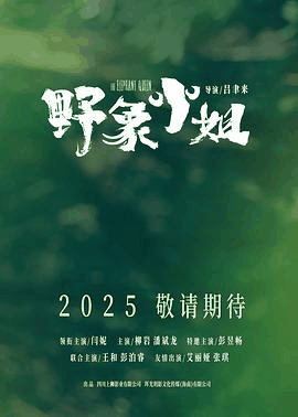 80电影网_《野象小姐》电影海报在线看